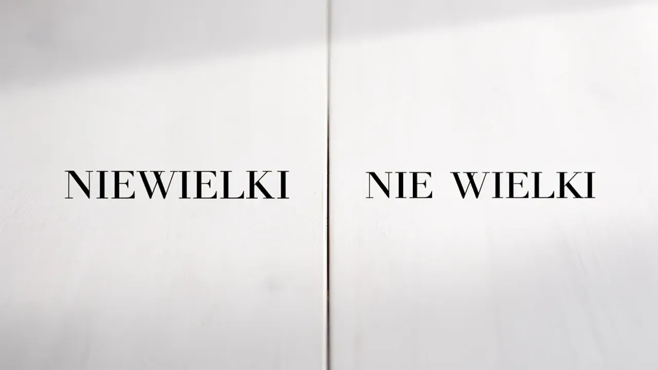 Niewielki czy nie wielki? Zasady poprawnej pisowni